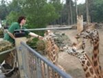 Dierentuin